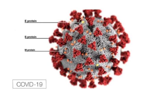 COVID-19對歐盟MDR，SCIP廢物框架指令的影響